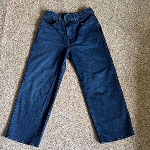 Madewell The Perfect Vintage Wide-Leg Jean in Nighhawk Wash